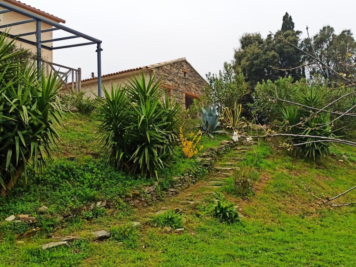 Отель Casa Bonino Prunelli-di-Fiumorbo Экстерьер фото
